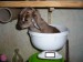 nejmenší narozená kozička - 3dny -1,5kg